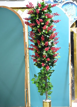 درخت آلوی گیلاس