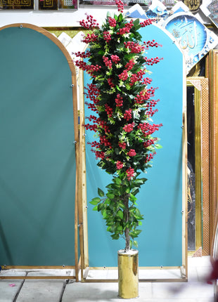 درخت آلوی گیلاس