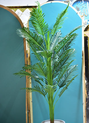 درخت شاخه یی