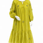 پیسته یی